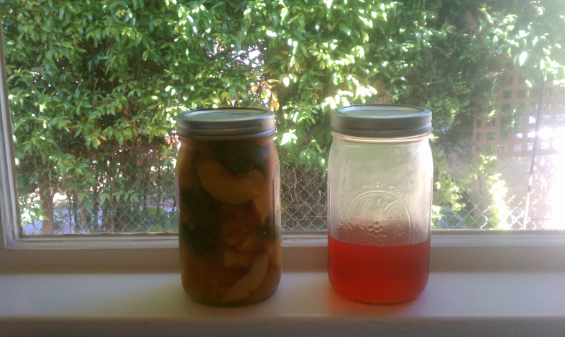 Illustration for article titled Vodka Infusing-I can't stop (I'm so excited! I'm so scared!)